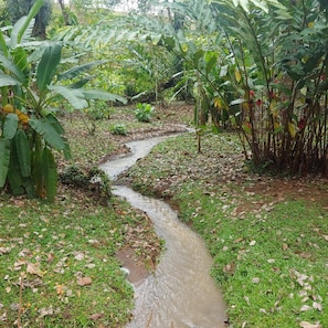 Exterior - Jaco-carara 3 Bdrm Surrounded by Rainforest With Private Pool (Carara)
