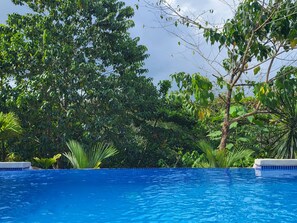 Nhà, 3 phòng ngủ, hồ bơi riêng, quang cảnh vườn | Hồ bơi | Hồ bơi ngoài trời 