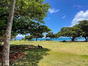 Overnattingsstedets uteområder