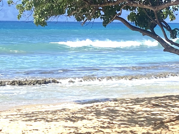 Playa en los alrededores, camastros y toallas de playa