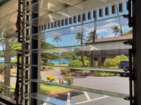A view through a window with horizontal blinds, revealing a street scene with palm trees, parked cars, and a building with a red roof.