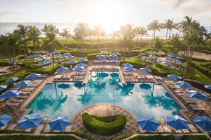 Relax by the resort pool surrounded by lush greenery and palm trees.