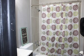 Hair dryer, towels, shampoo, toilet paper