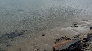 Une plage à l’eau cristalline, une île lointaine et un arc-en-ciel.