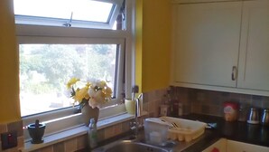 Eine Küche mit Waschmaschine, Herd, Spüle und einem Fenster mit Blumen.