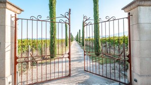 Una entrada con reja a un viñedo, con hileras de parras y altos árboles.