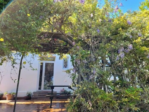 Charmante Villa Avec Jardin Arboré Anglet Biarritz