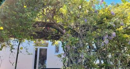 Charmante Villa Avec Jardin Arboré Anglet Biarritz