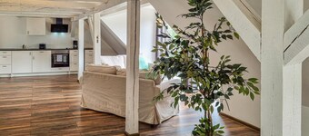 Haustierfreundliche Wohnung
