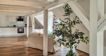 Pet friendly apartment