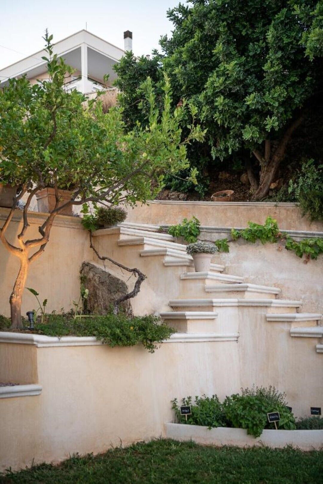 Un jardin aménagé avec un arbre, un mur de pierre et un bâtiment en arrière-plan.