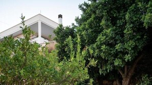 A landscaped garden with a tree, a stone wall, and a building in the background.