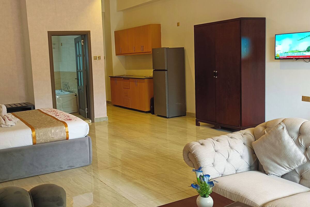 Habitación de hotel con cama, sofá, televisor, zona de cocina y armario.