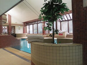 Piscina interior com parede azulejada, um banco e uma planta.