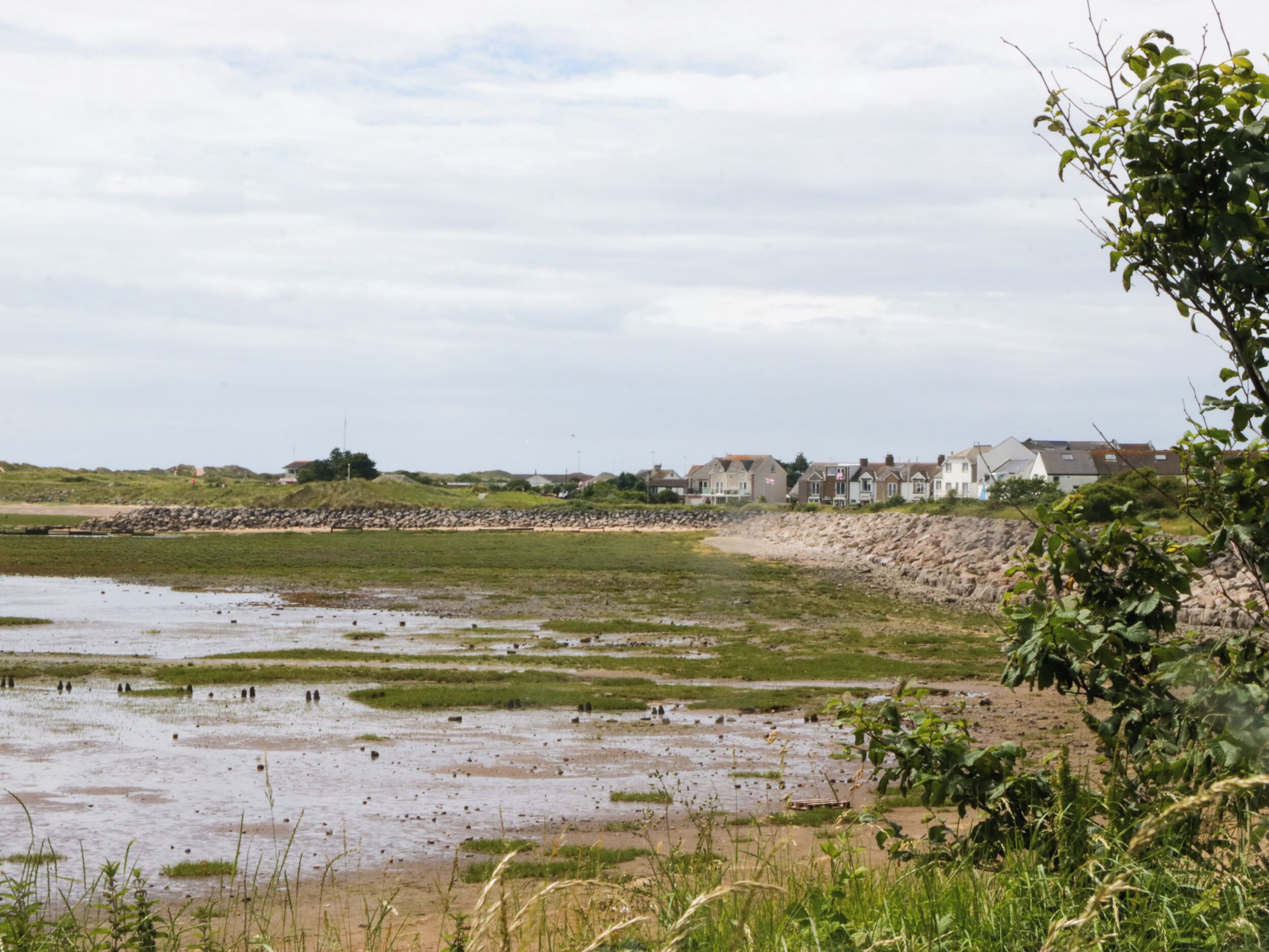Un paysage côtier avec une plage de sable, des zones herbeuses et une rangée de maisons en arrière-plan.