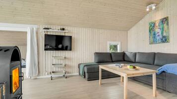 Télévision, cheminée