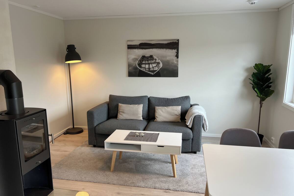 Ett modernt vardagsrum med en soffa, ett soffbord, en öppen spis och en tavla på väggen.