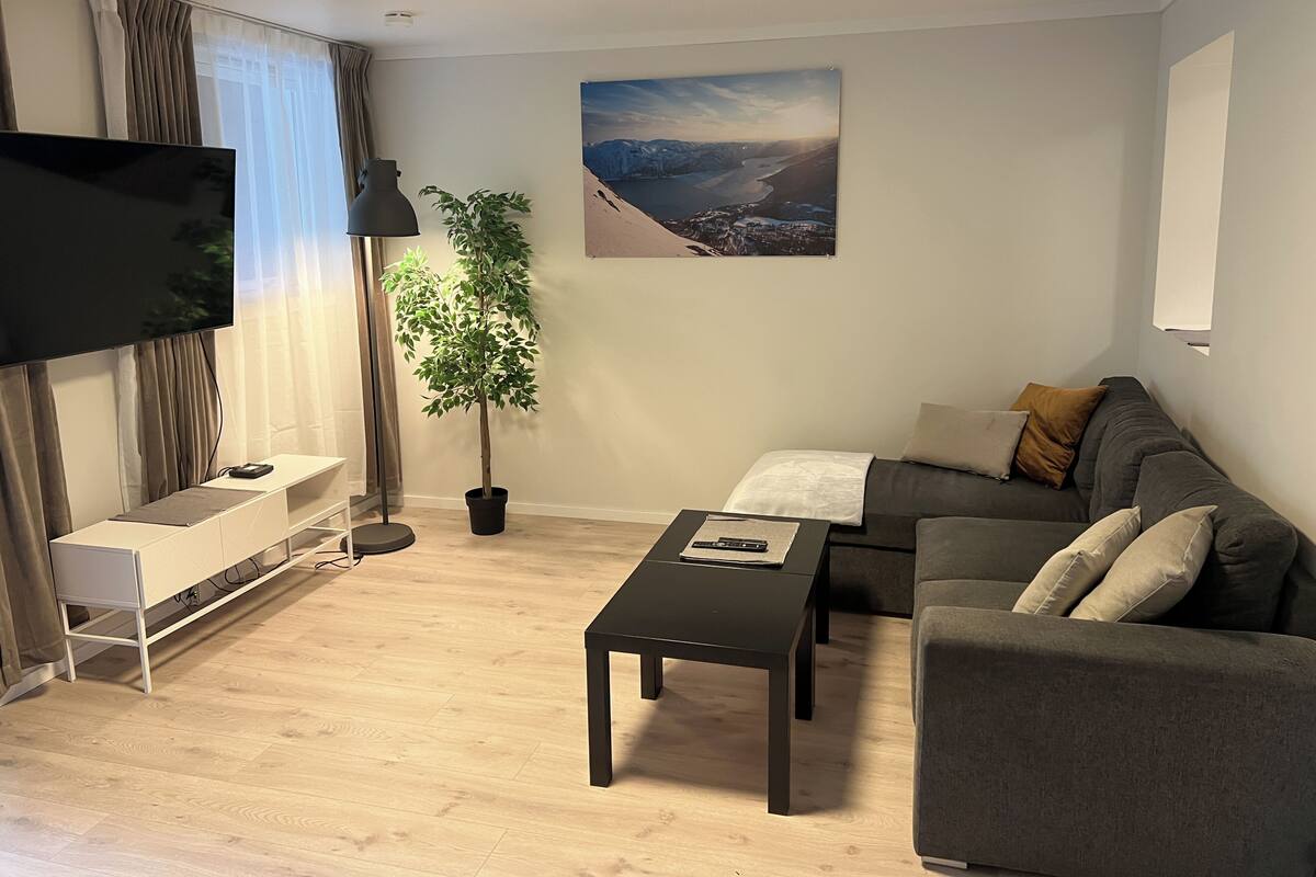 Ett modernt vardagsrum med en platt-TV, en krukväxt, en soffa, ett soffbord och en tavla på väggen.
