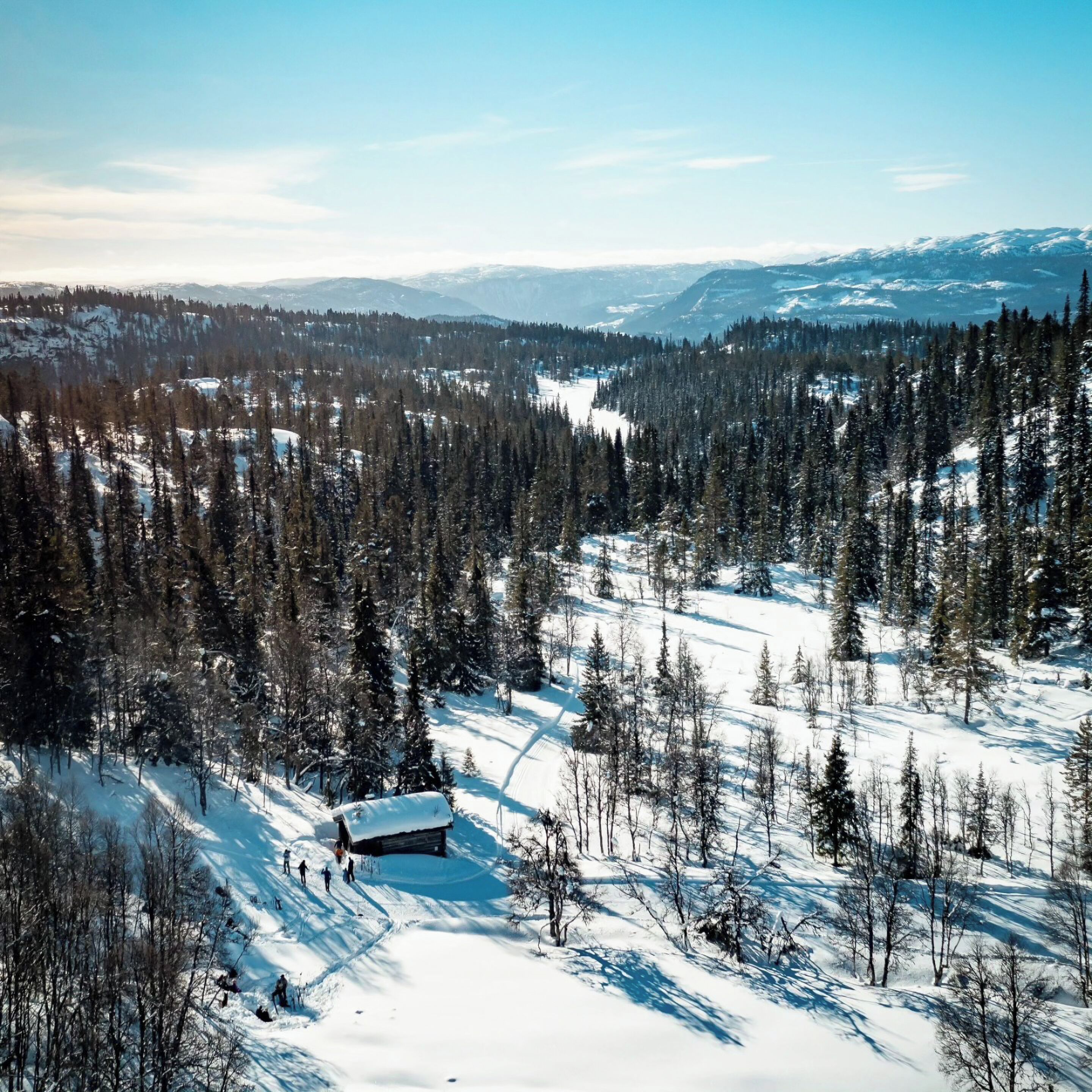 A snow-covered landscape with a cabin surrounded by dense forest and mountains in the background.