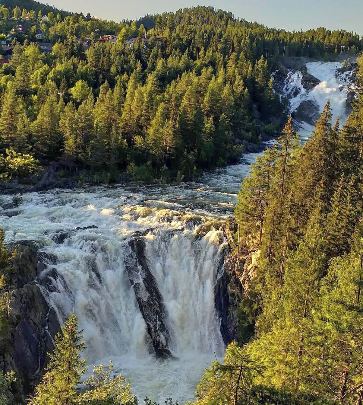 Ett vattenfall omgivet av tät skog, med hus i bakgrunden.