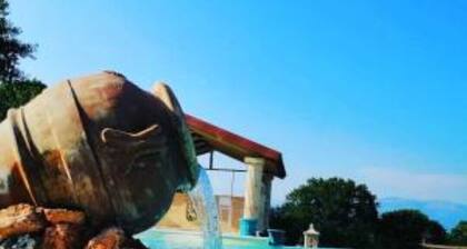 Bosco D'Olmi Country House-volpe