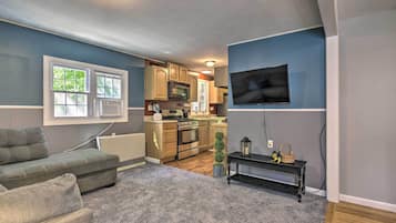 TV, fireplace, books