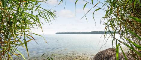 Una spiaggia nelle vicinanze