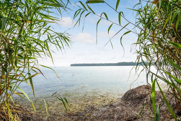 Nära stranden