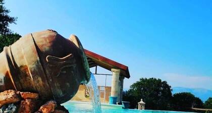 Bosco D'Olmi Country House-Istrice