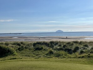 Nära stranden