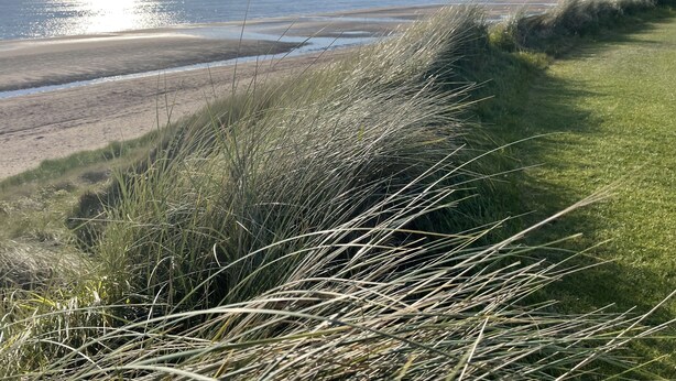 A coastal landscape with a grassy path leading to a beach.