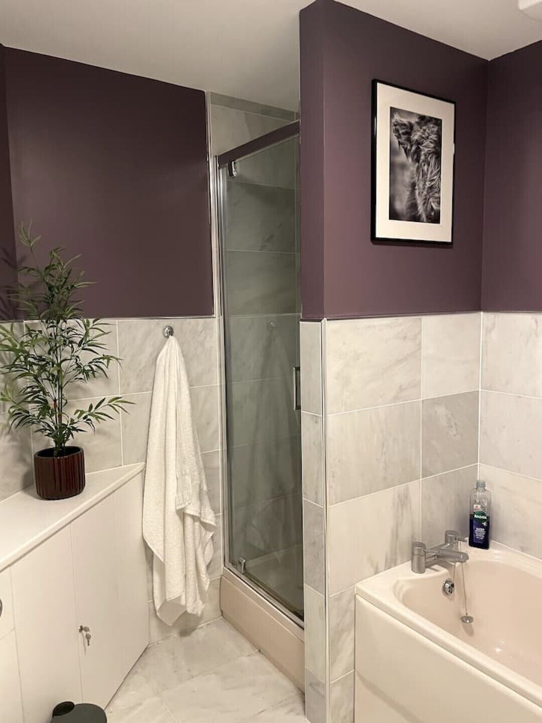Bathtub, hair dryer, towels, soap