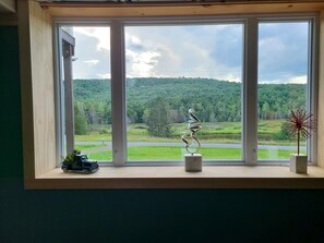 Interior - Mountain view (Unadilla)