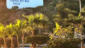 Une pancarte indiquant « Ladera del Mar Nerja » se trouve au milieu d’un jardin luxuriant, où poussent diverses plantes tropicales.