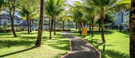 A paved pathway in a well-maintained garden with palm trees, leading to a building with a modern design.