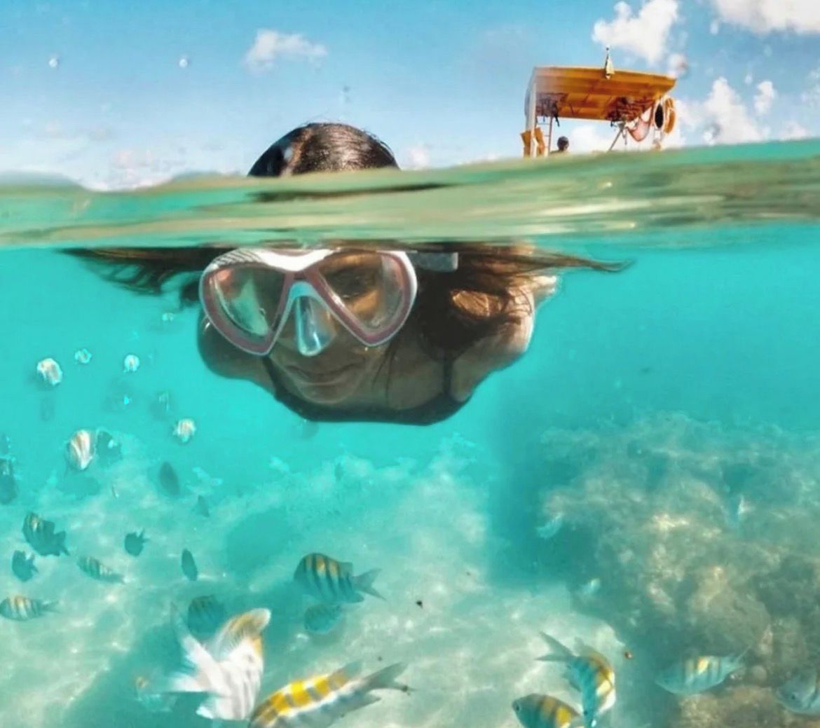 Uma pessoa praticando snorkeling debaixo d'água, com visão clara do fundo do mar e diversas espécies de peixes.