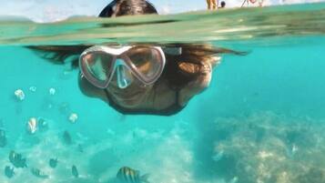 Uma pessoa praticando snorkeling debaixo d'água, com visão clara do fundo do mar e diversas espécies de peixes.