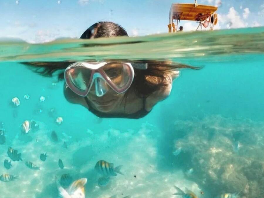 Uma pessoa praticando snorkeling debaixo d'água, com visão clara do fundo do mar e diversas espécies de peixes.