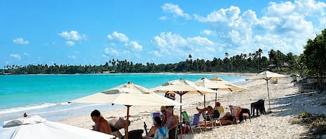 A beach with rows of sun loungers and umbrellas, a clear blue sky, and a distant shoreline with palm trees.