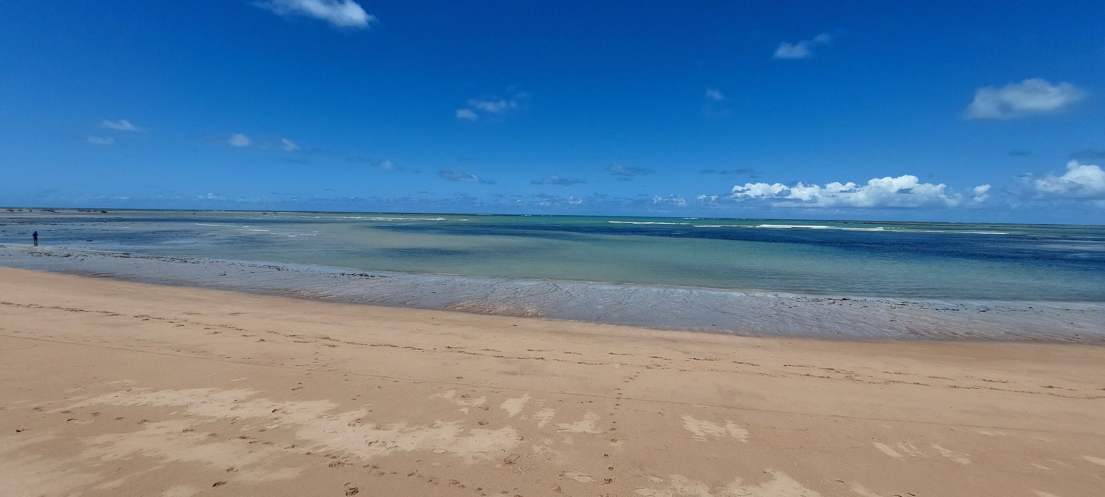 Una playa con agua azul cristalina y una orilla arenosa.