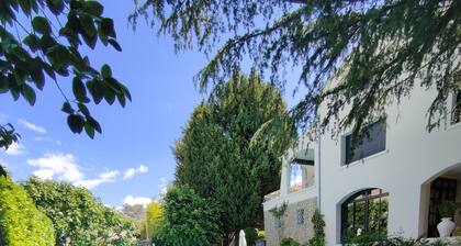 Magnificent villa with swimming pool and gym