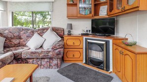 Un salón acogedor con un sofá estampado, un televisor de pantalla plana, armarios de madera y una chimenea.