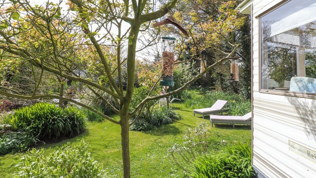Un jardín con un árbol, un comedero para pájaros y un edificio blanco con una ventana.
