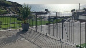 Un vialetto lastricato con recinzione in metallo, una palma e vista sul mare.