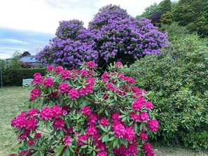 Área da propriedade