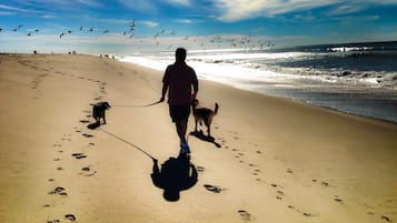 Playa en los alrededores