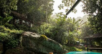 Rain Forest Paradise