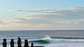 Surf o bodyboard