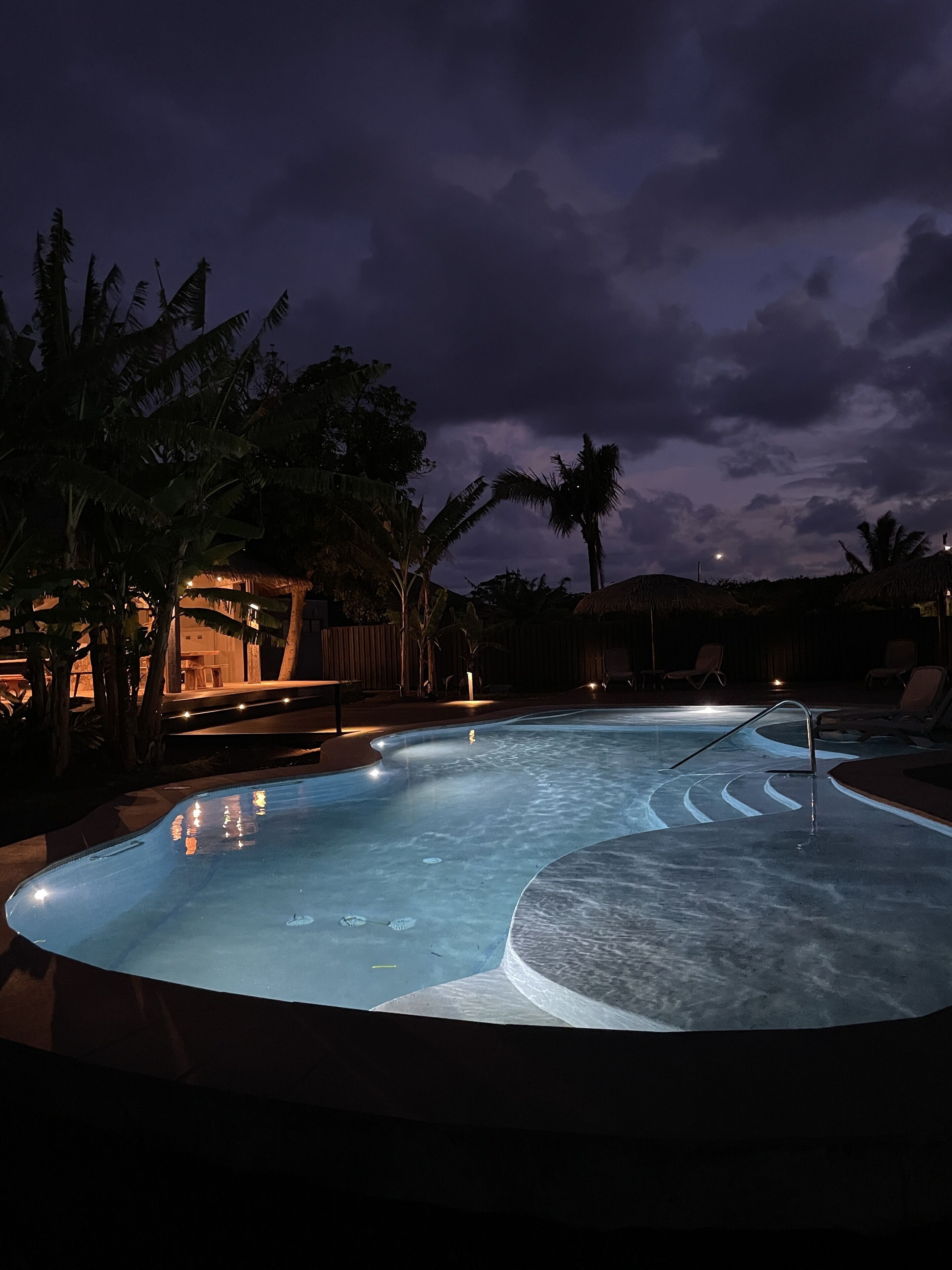 A swimming pool with a curved edge, surrounded by palm trees and a thatched-roof structure.
