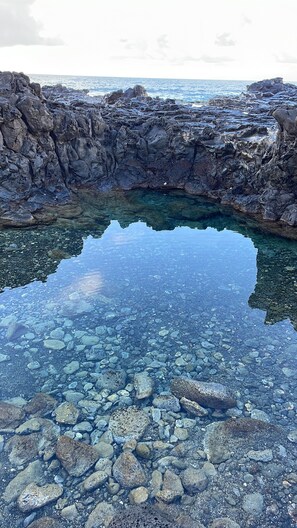 Outdoor pool, pool umbrellas, pool loungers
